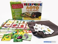 Развивающая игра Нескучные игры Нескучное лото. Что где растет 8112 - фото2, картинка2 Развивающая игра Нескучные игры Нескучное лото. Что где растет 8112 - фото2