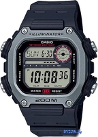 Наручные часы Casio DW-291H-1AVEF - фото, картинка Наручные часы Casio DW-291H-1AVEF - фото