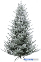 Ель GrandSiti Адель 2.4 м - фото