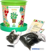 Набор для опытов Happy plant Огурец корнишон hpn-19 - фото2