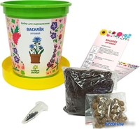 Набор для опытов Happy plant Василек луговой hpn-28 - фото2