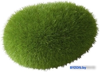 Искусственное растение Aqua Della Moos Ball 234/426470 - фото