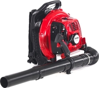 Ранцевая воздуходувка Geos Max BPB 363 - фото, картинка Ранцевая воздуходувка Geos Max BPB 363 - фото