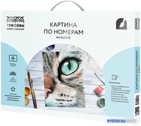 Картина по номерам Три совы Кошачий взгляд КХ_44139 - фото, картинка Картина по номерам Три совы Кошачий взгляд КХ_44139 - фото