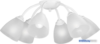 Припотолочная люстра Vitaluce V3737-0/6PL - фото, картинка Припотолочная люстра Vitaluce V3737-0/6PL - фото