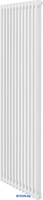 Стальной трубчатый радиатор Royal Thermo Insignia VC2180 - 12 секций RAL9016 - фото