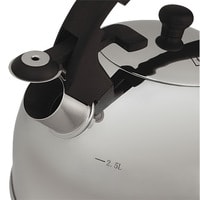 Чайник со свистком Taller Робсон TR-1338 - фото2