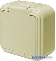 Розетка Элект RA16-201-БЖ - фото