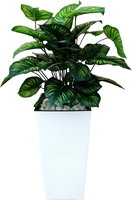 Искусственное растение Forgarden Филодендрон пестролистный BN11138 - фото