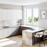 Кухонная мойка Lanilia Evier 40.1 Inox - фото2