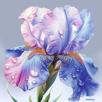 Алмазная мозаика Феникс+ Ирис 70827 - фото, картинка Алмазная мозаика Феникс+ Ирис 70827 - фото