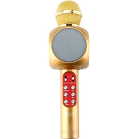 Микрофон Wster WS-1816 (золотистый) - фото