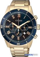 Наручные часы Citizen AN8169-58L - фото, картинка Наручные часы Citizen AN8169-58L - фото