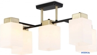 Люстра средней высоты Ambrella TR303048/5 BK/GD (черный/золото) - фото, картинка Люстра средней высоты Ambrella TR303048/5 BK/GD (черный/золото) - фото
