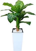 Искусственное растение Forgarden Диффенбахия пестролистная BN11132 - фото