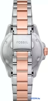 Наручные часы Fossil ES5348 - фото2, картинка2 Наручные часы Fossil ES5348 - фото2