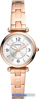 Наручные часы Fossil Carlie ES5202 - фото, картинка Наручные часы Fossil Carlie ES5202 - фото