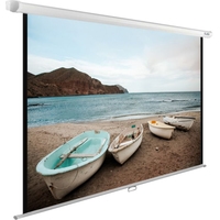 Проекционный экран CACTUS WallExpert 220x138 CS-PSWE-220x138-WT - фото