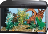 Аквариумный набор Ferplast Capri 50 Led 60 л (черный) - фото, картинка Аквариумный набор Ferplast Capri 50 Led 60 л (черный) - фото