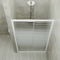 Душевая дверь Triton Слайд 120 - фото2