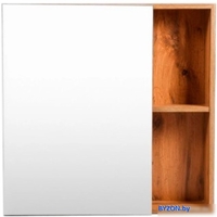 Viant Шкаф с зеркалом Бостон 60 VBOS60-ZSH - фото