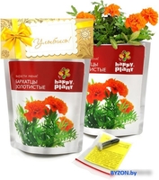 Набор для опытов Happy plant Бархатцы золотистые hpn-30 - фото2