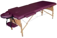 Массажный стол DFC Nirvana Relax TS20111-P (сливовый) - фото