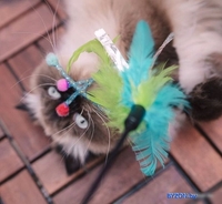 Игрушка для кошек Duvo Plus Удочка с перьями 1717032/DV - фото2