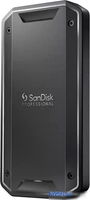 Внешний накопитель SanDisk PRO-G40 SDPS31H-004T-GBC1D 4TB - фото
