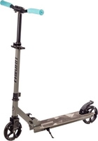 Двухколесный подростковый самокат Favorit 2015SG-GR - фото