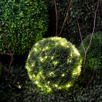 Световая сетка ЭРА ERAPS-SKW1 - фото2