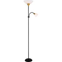 Торшер Arte Lamp Duetto A9569PN-2BK - фото