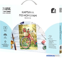 Картина по номерам Три совы Солнечный день КХ_44155 - фото, картинка Картина по номерам Три совы Солнечный день КХ_44155 - фото