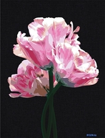 Три совы Розовые цветы КХп_48141 - фото, картинка Три совы Розовые цветы КХп_48141 - фото