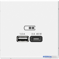 Розетка USB Systeme Electric ArtGallery GAL000129 - фото