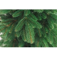 Ель Бифорес Крона Микс (1.95 м, темно-зеленый) - фото2