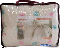 Одеяло Delford Бязь Стандарт ПЭ 172x205 3КБН1 - фото