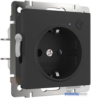 Розетка Werkel W1171608 a056422 - фото