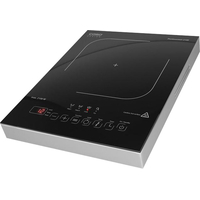 Настольная плита CASO Pro Gourmet 2100 - фото