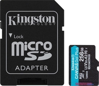 Карта памяти Kingston Canvas Go! microSDXC 256GB SDCG4/256GB (с адаптером) - фото