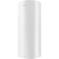 Накопительный электрический водонагреватель Royal Thermo RWH 30 Fidelity - фото