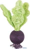 Игрушка Trixie Клубника/свекла 61949 - фото2