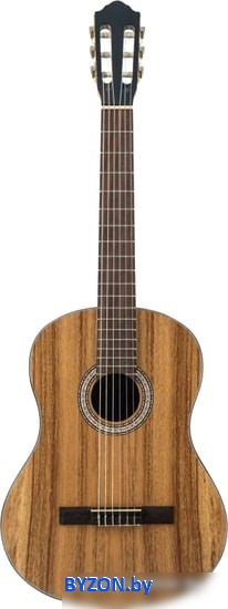 Акустическая гитара Flight C-110 AC 4/4 Акустическая гитара Flight C-110 AC 4/4