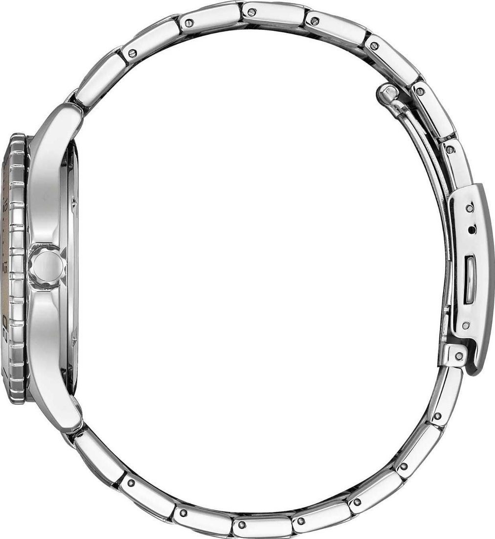 Наручные часы Citizen FE6170-88X Наручные часы Citizen FE6170-88X