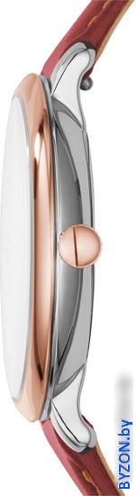 Наручные часы Fossil ES3842 Наручные часы Fossil ES3842