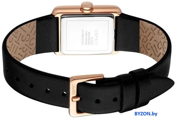 Наручные часы Esprit ES1L397L0035 Наручные часы Esprit ES1L397L0035