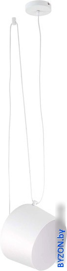 Подвесная люстра Evoluce Trieste SLE120653-01 Подвесная люстра Evoluce Trieste SLE120653-01