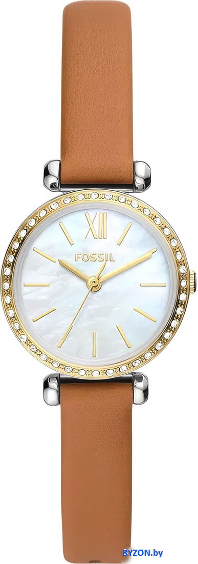 Наручные часы Fossil BQ3900 Наручные часы Fossil BQ3900