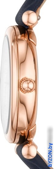 Наручные часы Fossil Carlie Mini ES4502 Наручные часы Fossil Carlie Mini ES4502