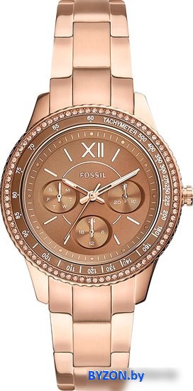 Наручные часы Fossil Stella ES5109 Наручные часы Fossil Stella ES5109